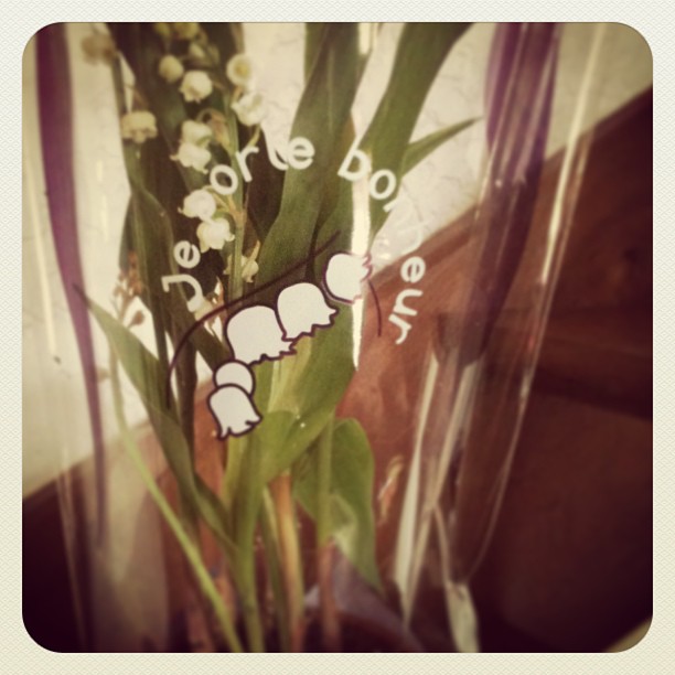 Muguet porte-bonheur Muguet porte-bonheur