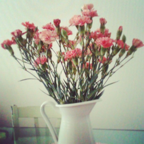 Recevoir un bouquet de fleurs Recevoir un bouquet de fleurs