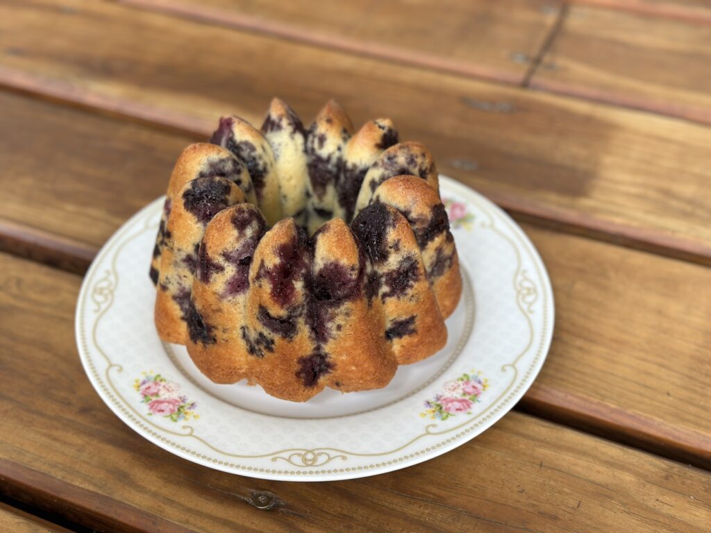tourte aux myrtilles pyrenees cauterets recette presque comme gillou