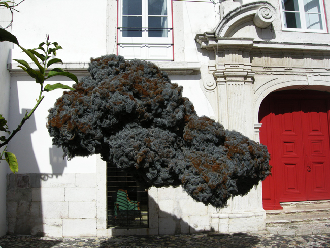 Mon petit nuage à Lisbonne !