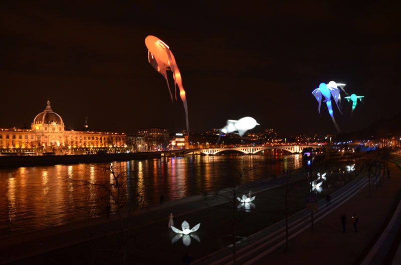 Fête des Lumières Lyon 2012