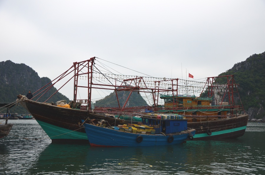 Croisière dans la Baie de Bai Tu Long - Port Van Don