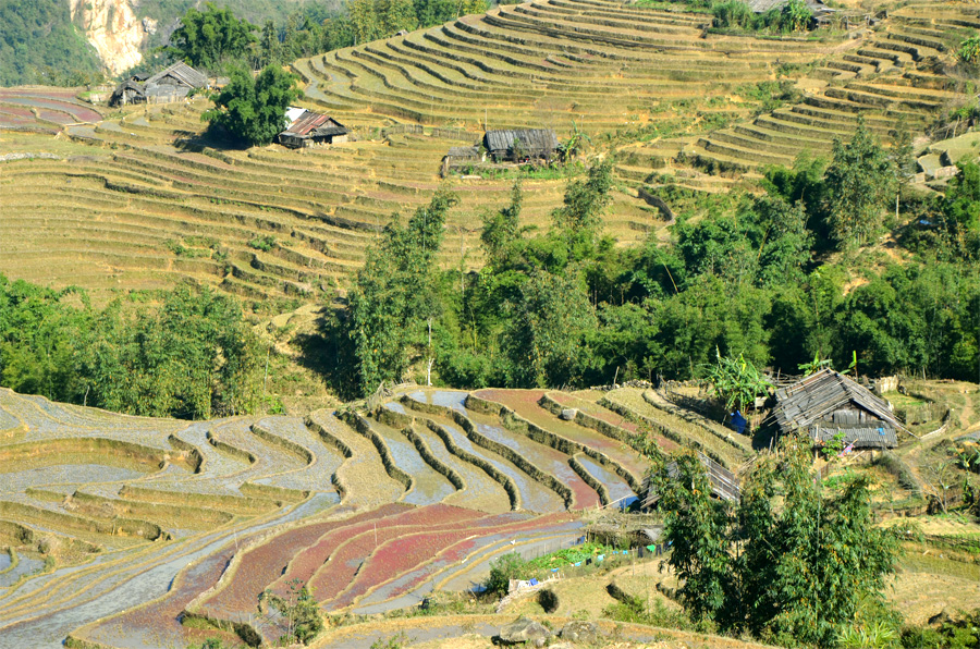 Voyage au Vietnam : trek dans les montagnes et rizières aux alentours de Sapa