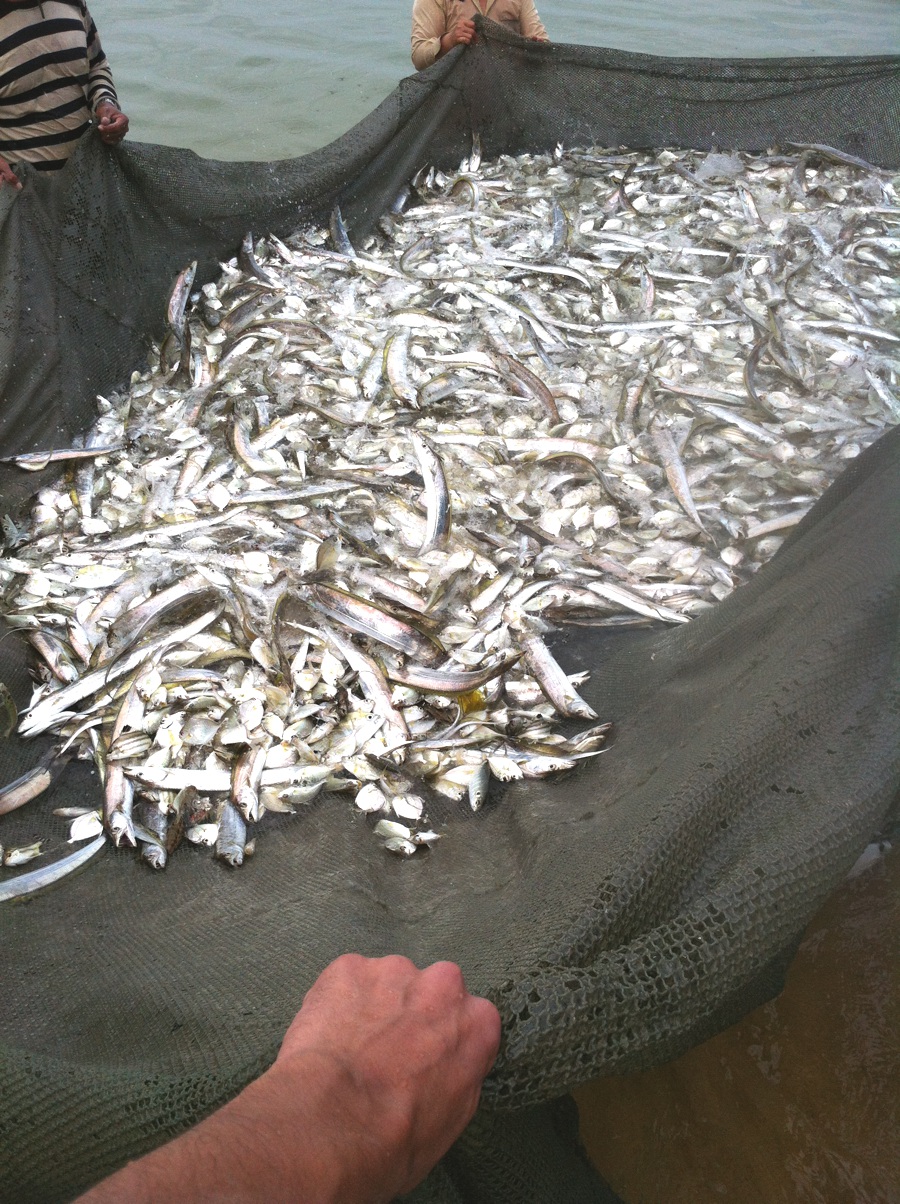 Phu Quoc : session de pêche à Long Beach