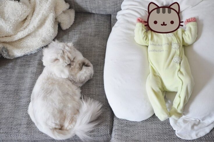 coussin de maternite bio naturna