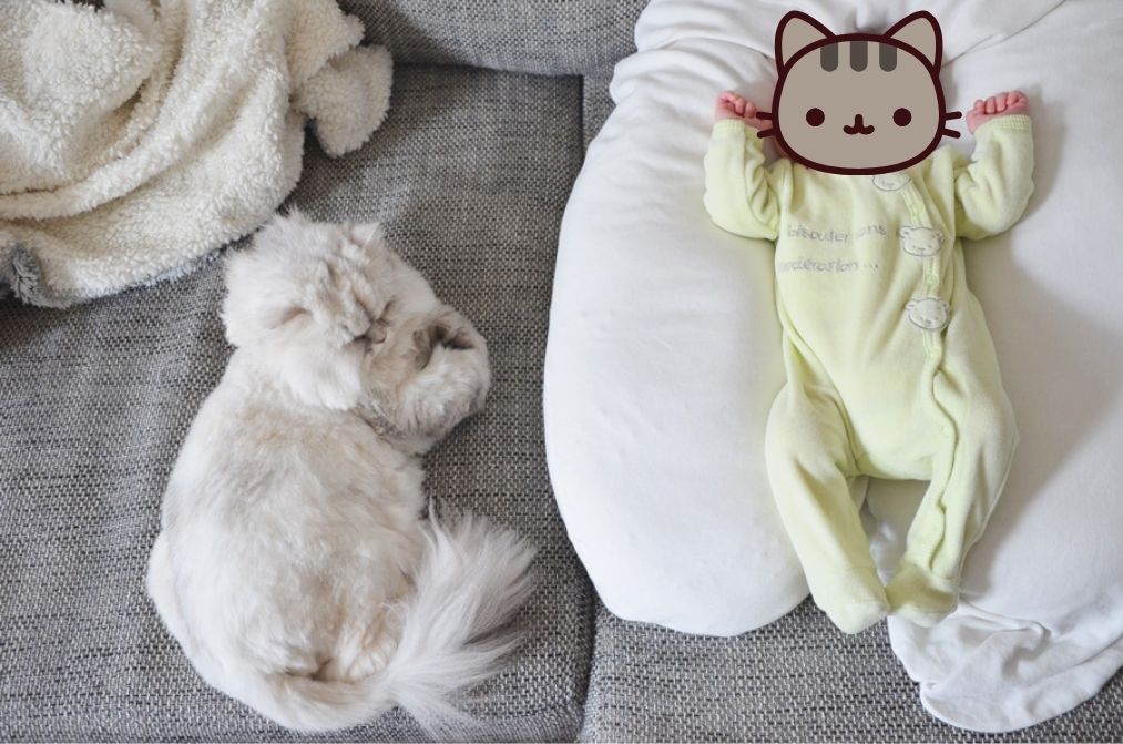 coussin de maternite bio naturna