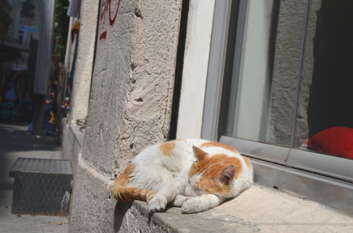 Visiter Istanbul : Beyoglu