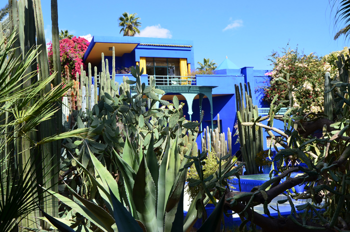 Le jardin Majorelle à Marrakech