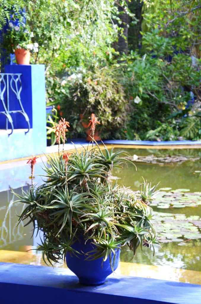 Le jardin Majorelle à Marrakech