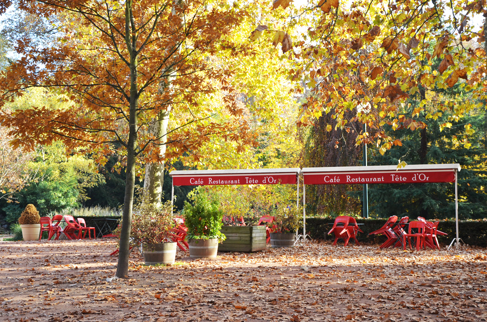🍂 l’automne au parc de la tête d’or 🍂 Automne