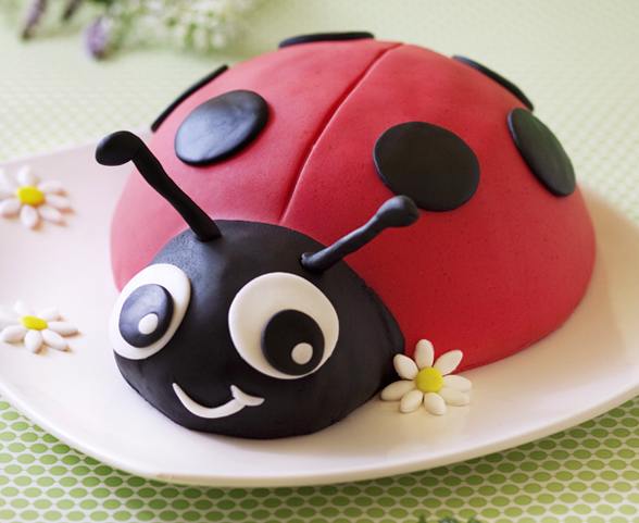 gateau anniversaire cocinelle 1