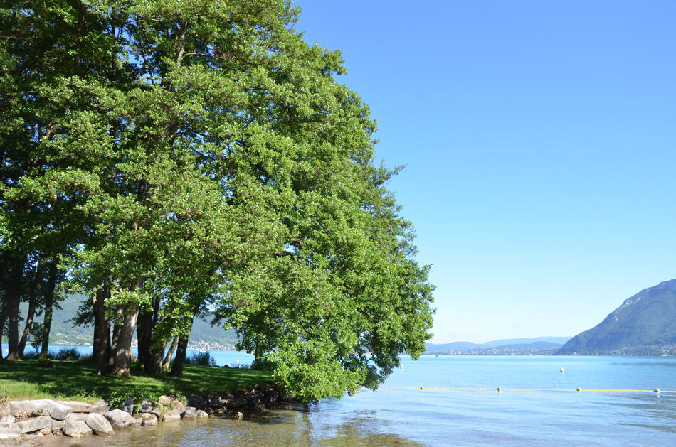 Se baigner au lac d'Annecy : la plage de Saint-Jorioz