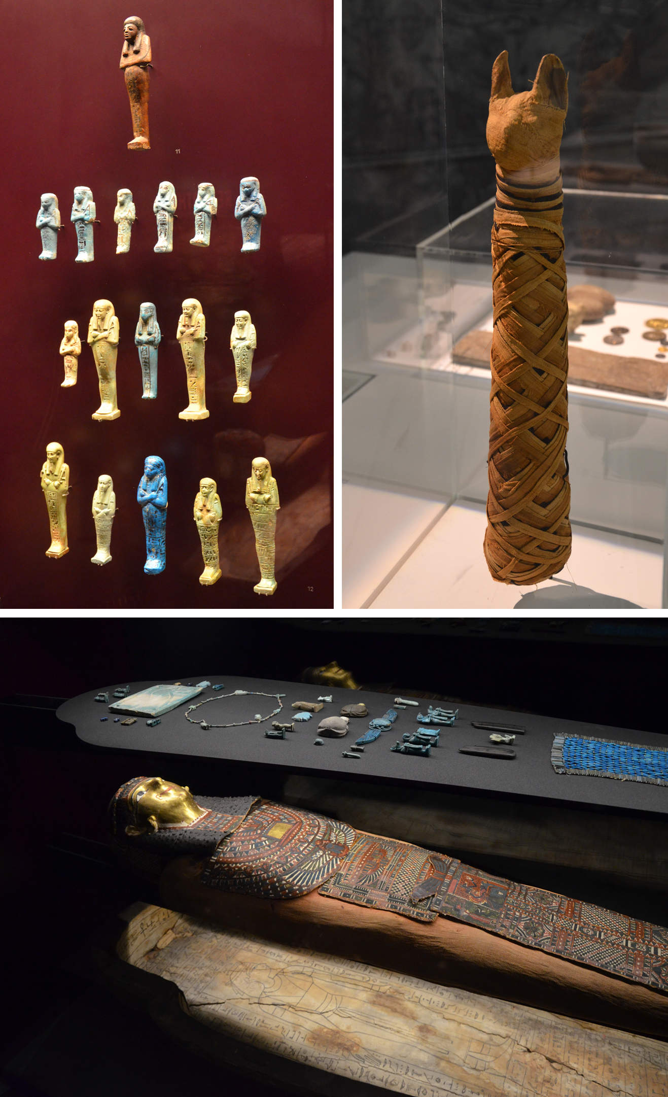 Musée des Confluences : serviteurs, momie de chat, momie - Egypte
