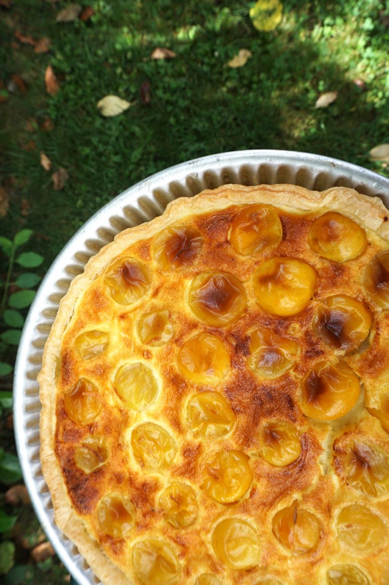 Tarte clafoutis tomates