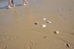 Vacances ete