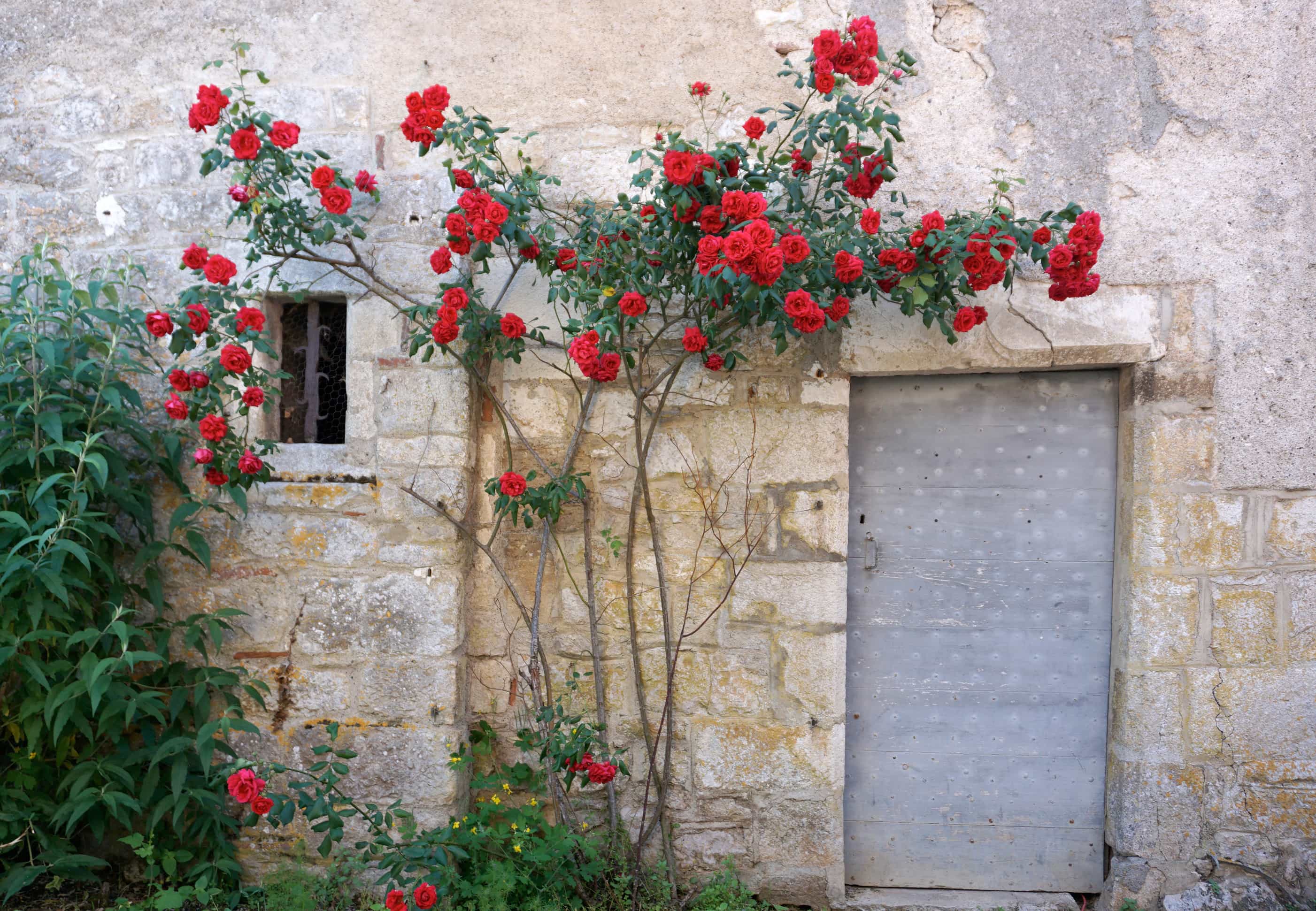 Saint cirq lapopie village france