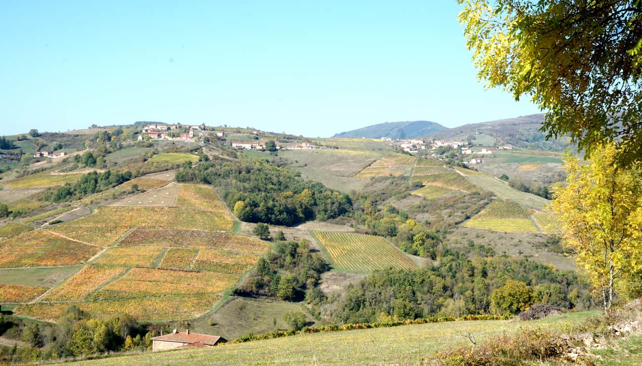 Balade autour de Lyon : le Beaujolais en automne