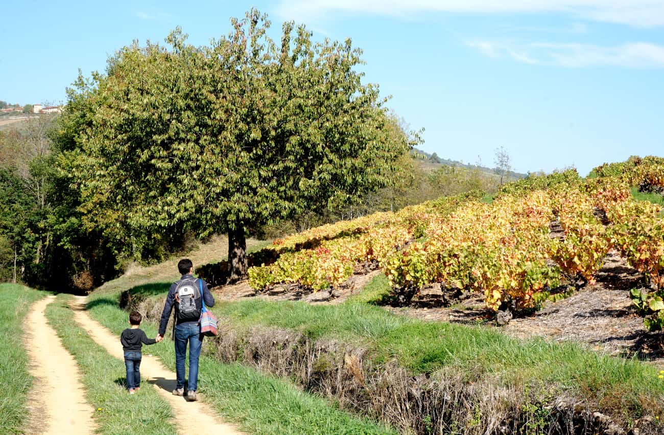 Balade autour de Lyon : le Beaujolais en automne