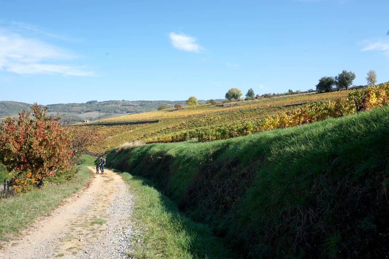 Balade autour de Lyon : le Beaujolais en automne