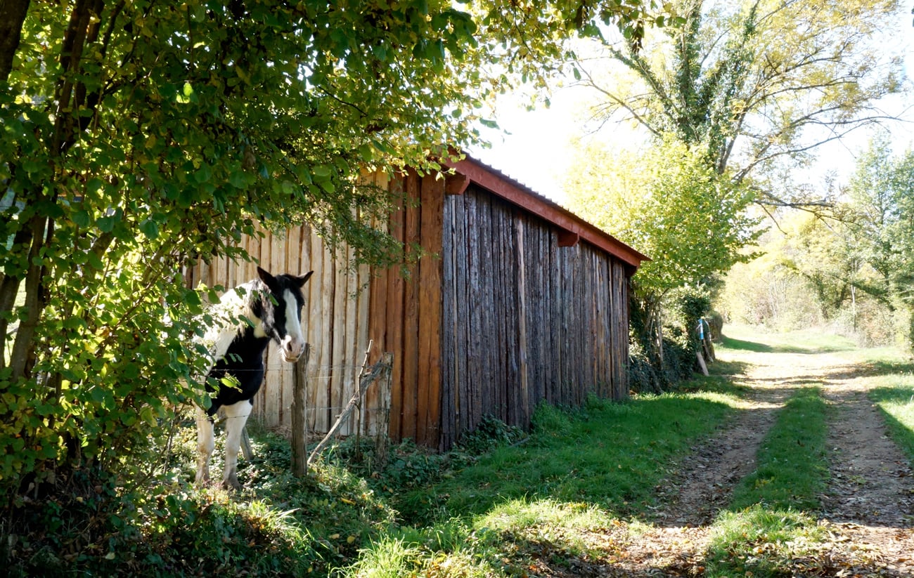 Balade autour de Lyon : le Beaujolais en automne