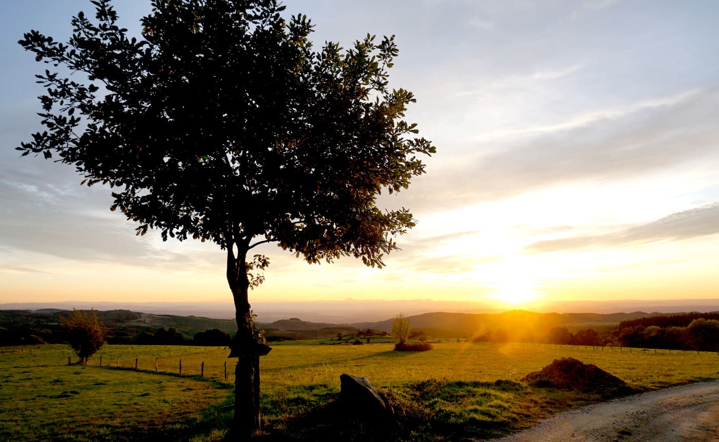 Coucher soleil automne campagne