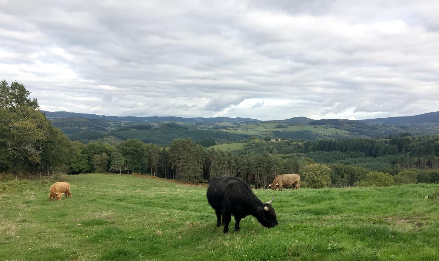 Et au loin les volcans d'Auvergne - Week-end d'automne en Auvergne