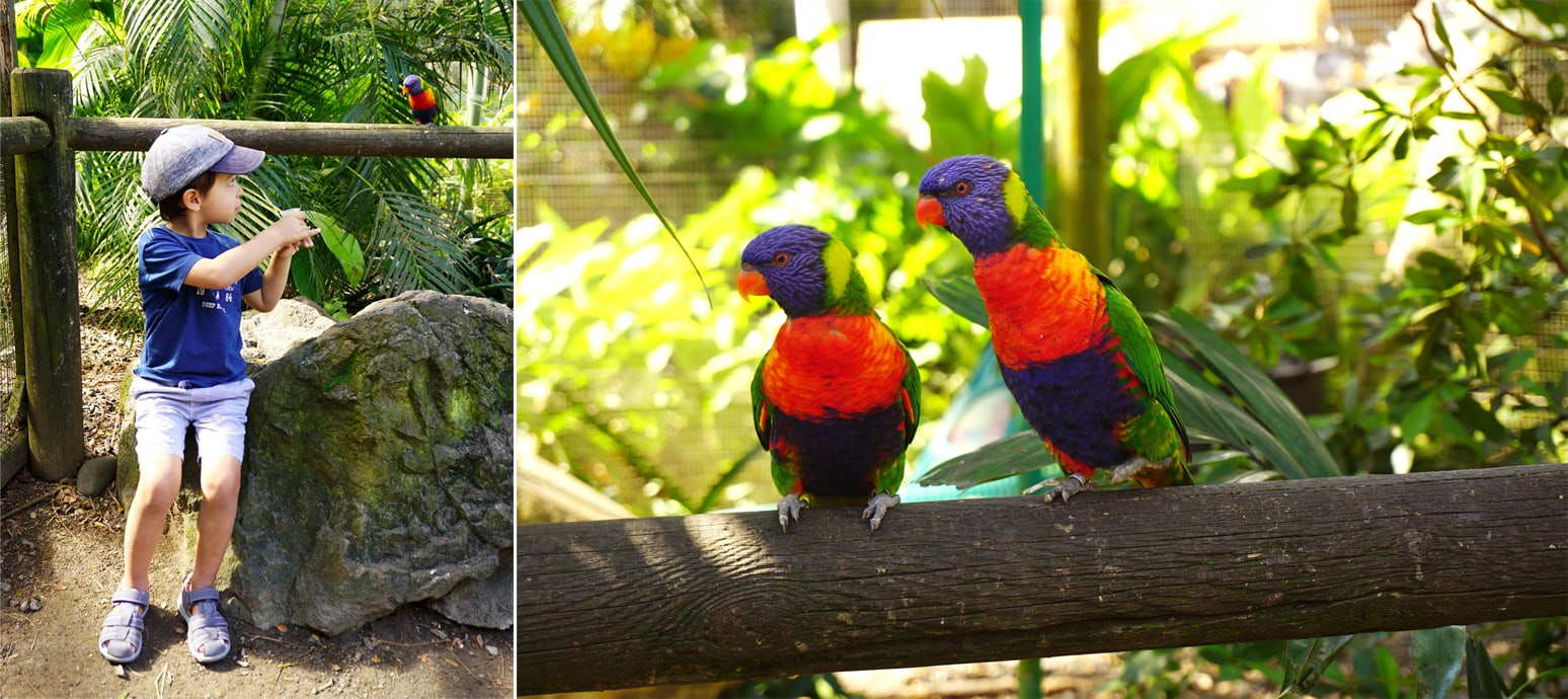 Que faire en Guadeloupe avec les enfants: le jardin botanique de Deshaies