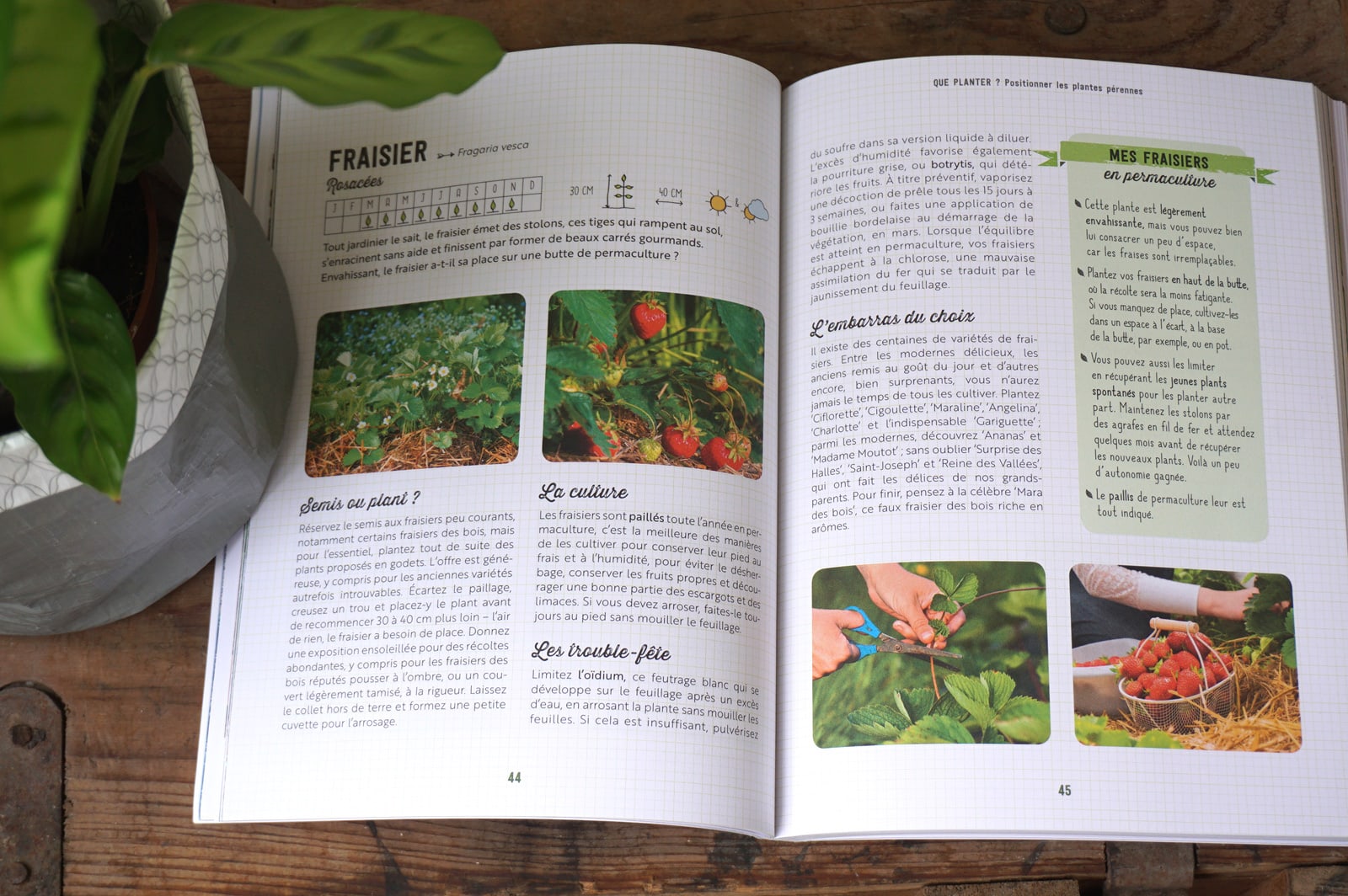 Livre jardinage : Mon premier potager en permaculture