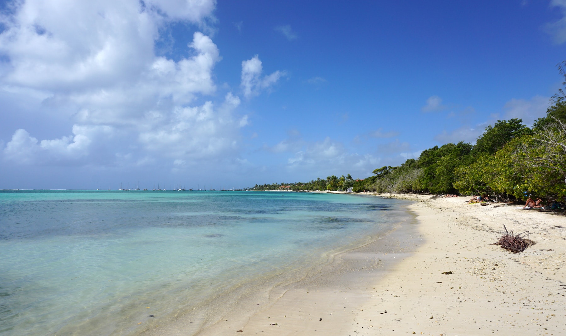 Guadeloupe plage saint francois