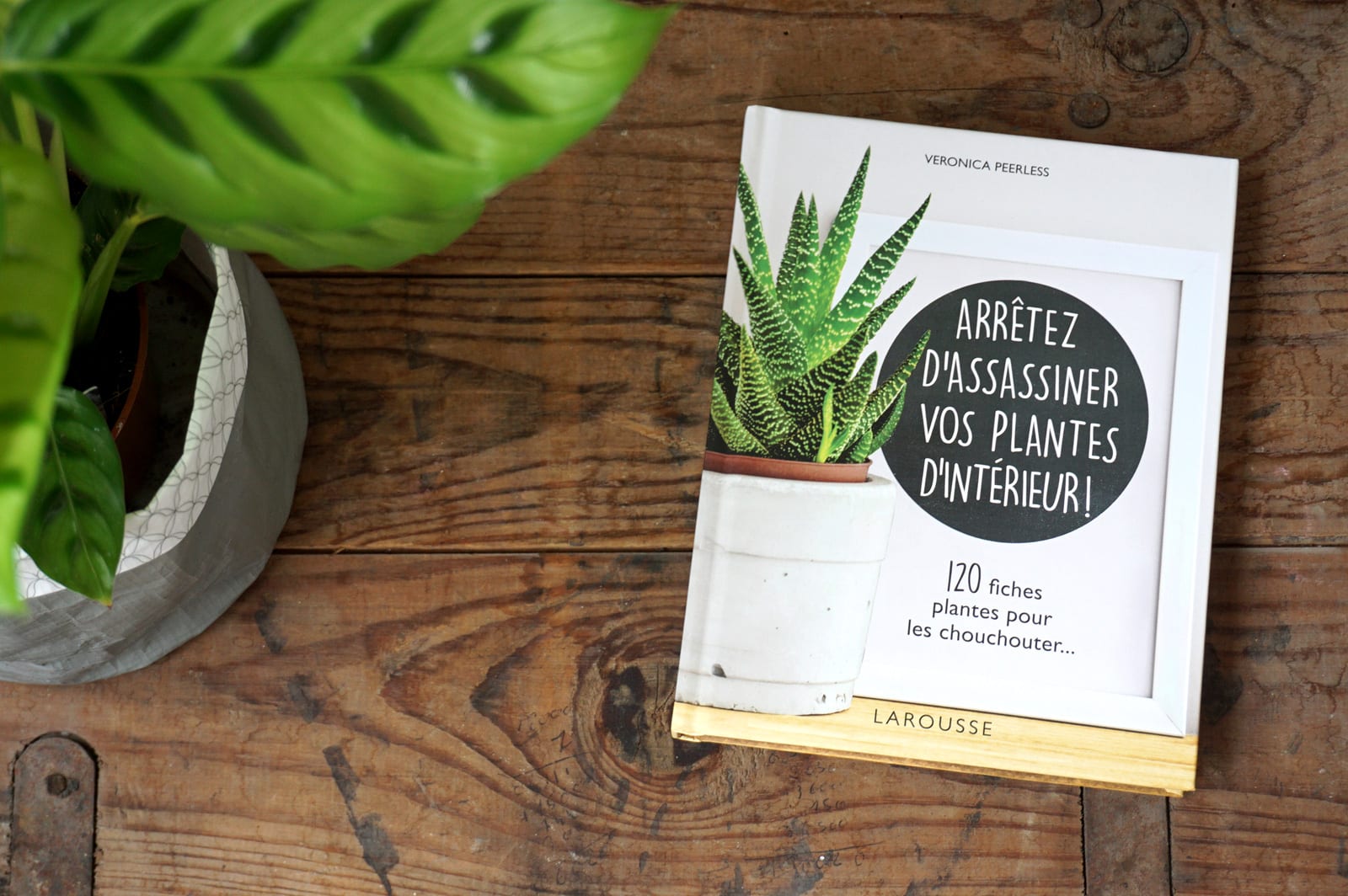 Livre jardinage : Arrêtez d'assassiner vos plantes d'intérieur