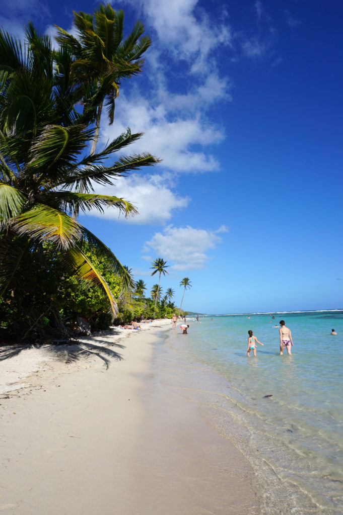 Plage cocotier guadeloupe famille