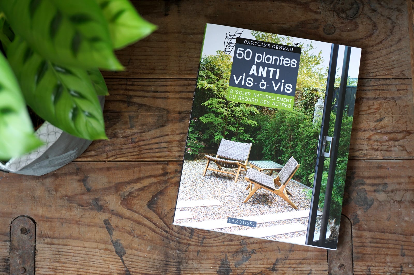Livre jardinage : 50 plantes anti vis-à-vis