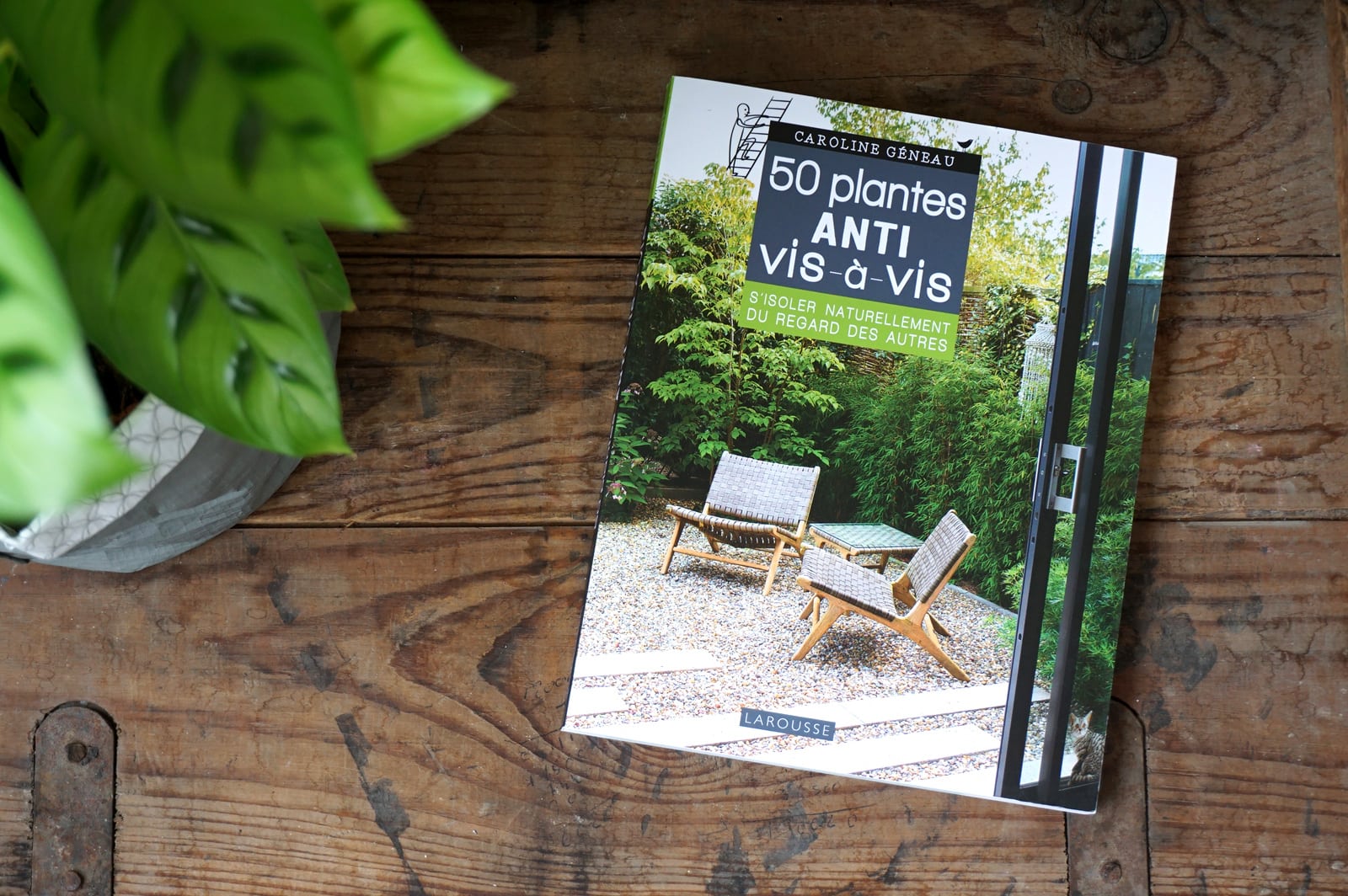 Livre jardinage : 50 plantes anti vis-à-vis