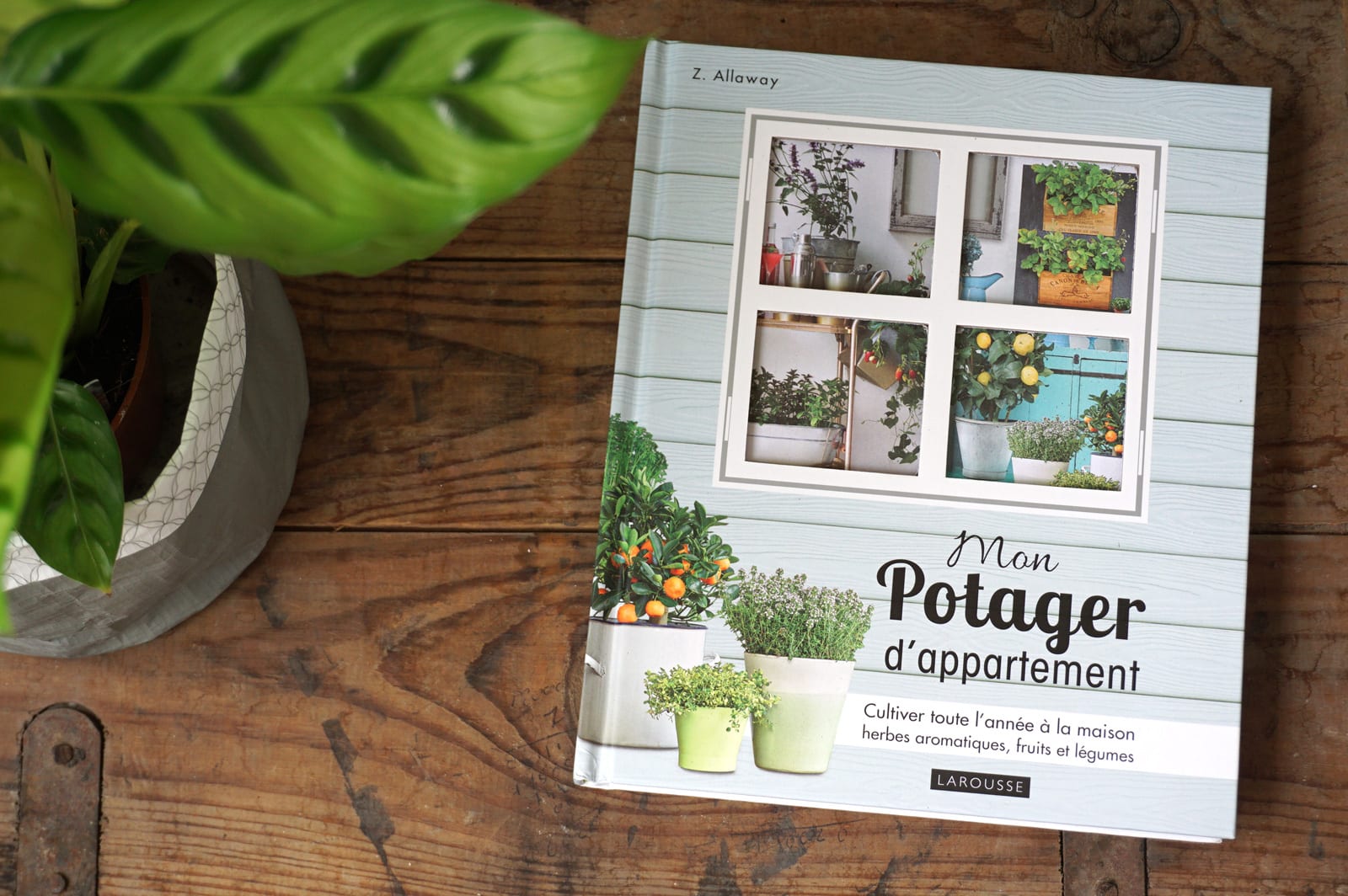 Potager appartement livre jardinage