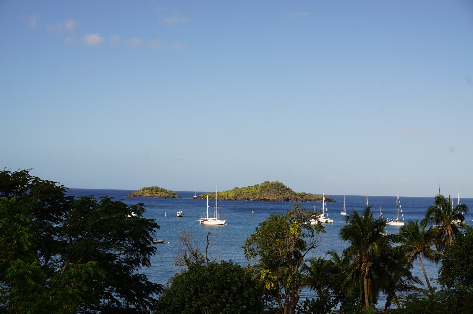 Les Ilets Pigeon à Malendure, spot de plongée en Guadeloupe