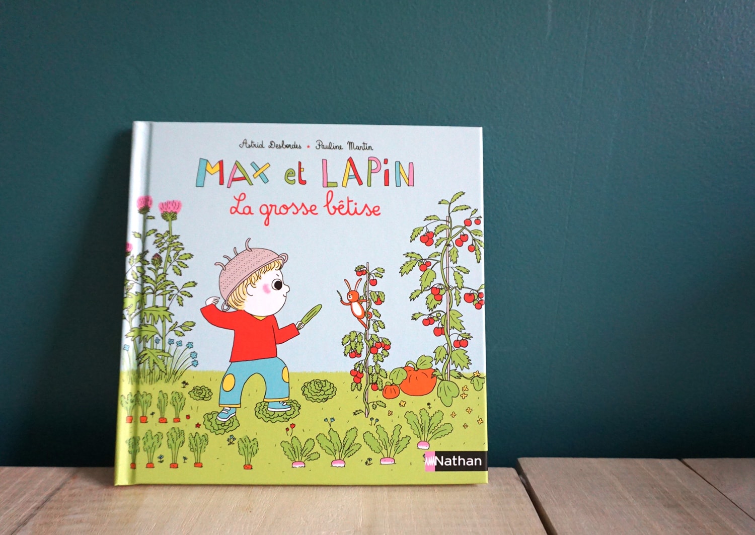 Livre enfant 3-6 ans : Max et Lapin