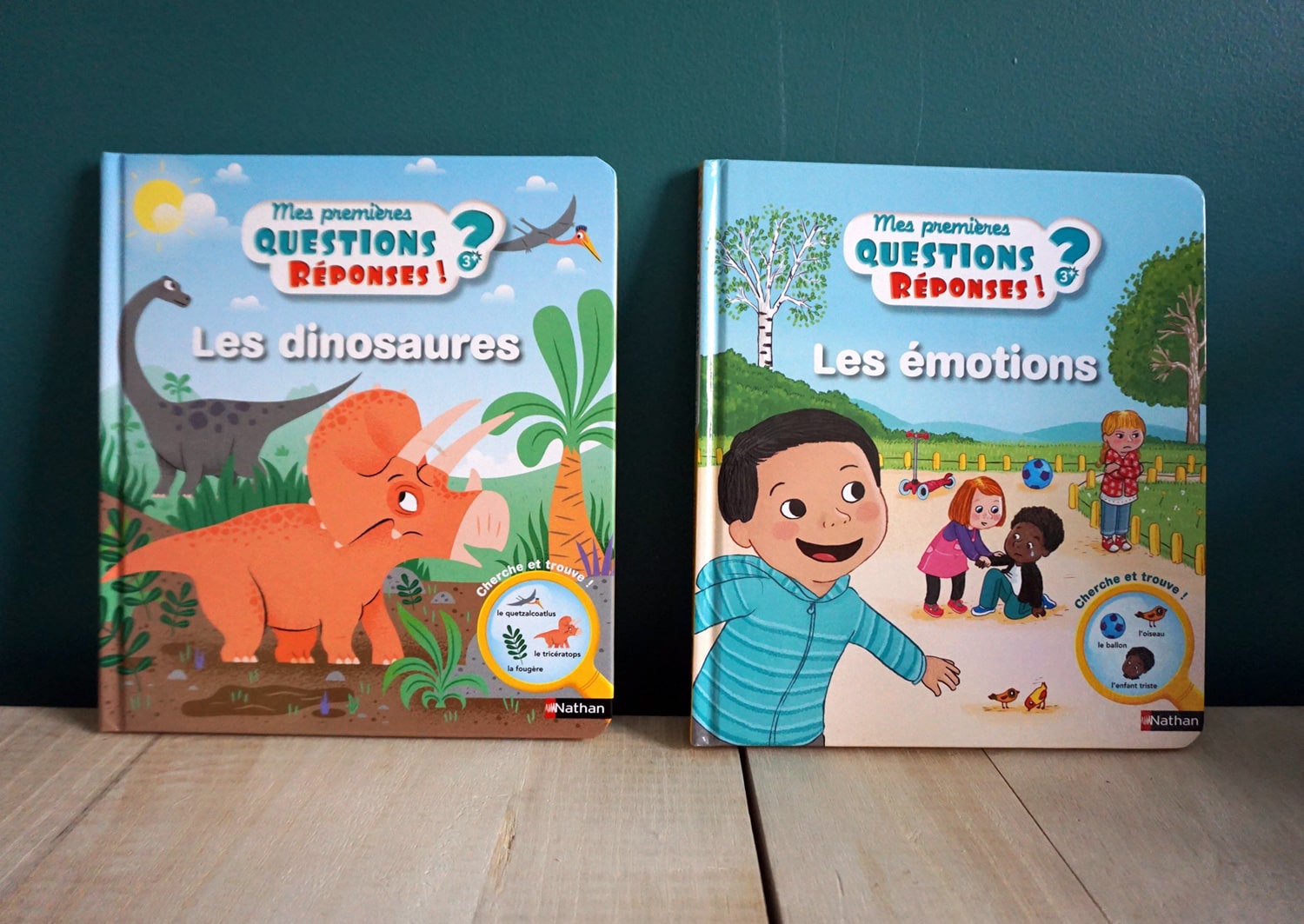 Livre enfant 3-6 ans : Mes premières questions-réponses