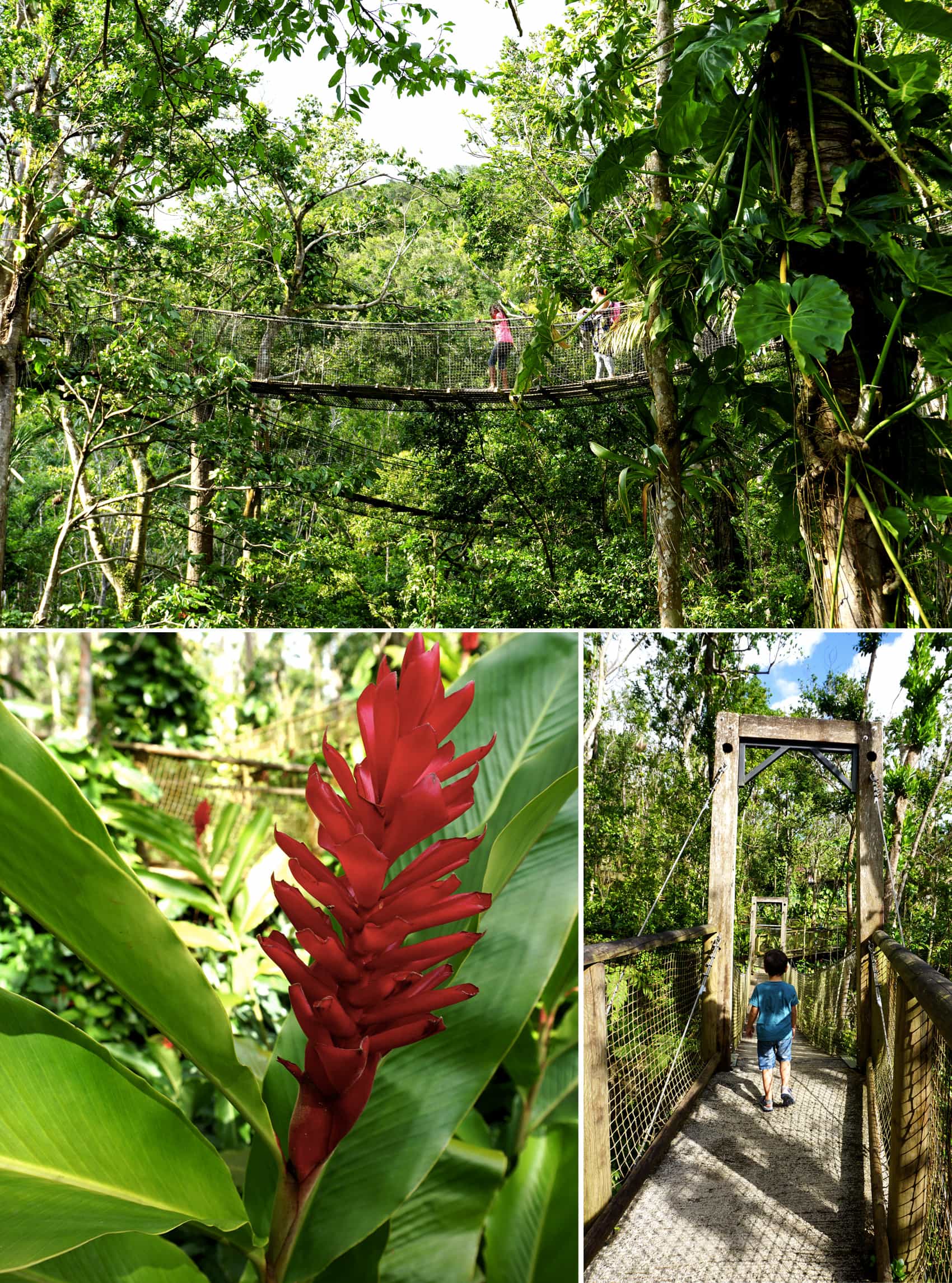 Parc des Mamelles Guadeloupe