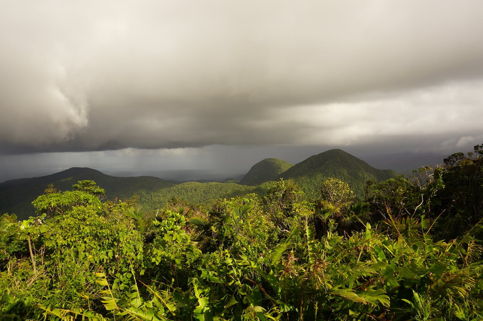 Mes conseils pratiques pour un voyage en Guadeloupe - La météo !