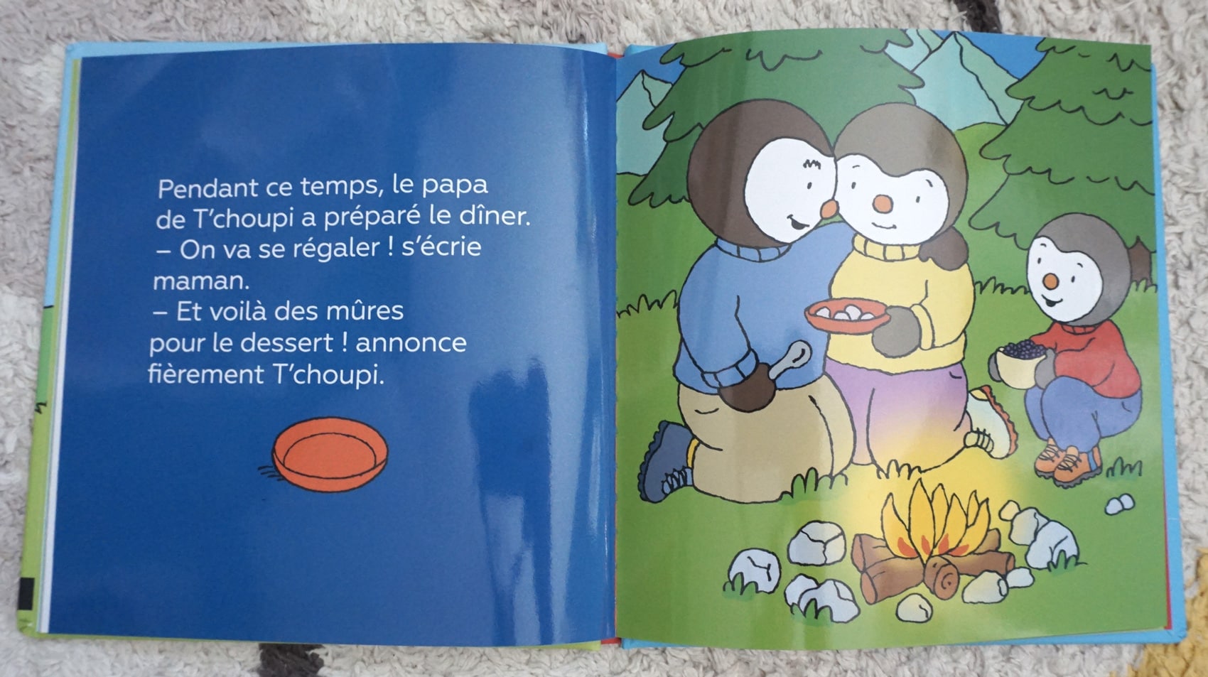 Livre enfant 3-6 ans - Album jeunesse