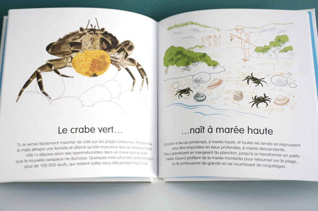 Livre enfant 3-6 ans - Album jeunesse