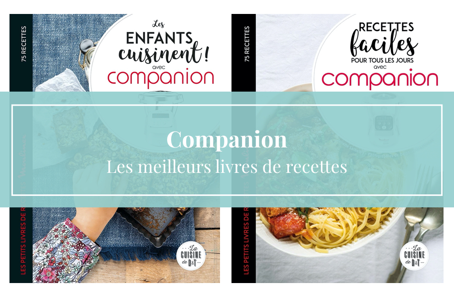 TOP 5 des meilleurs livres Companion