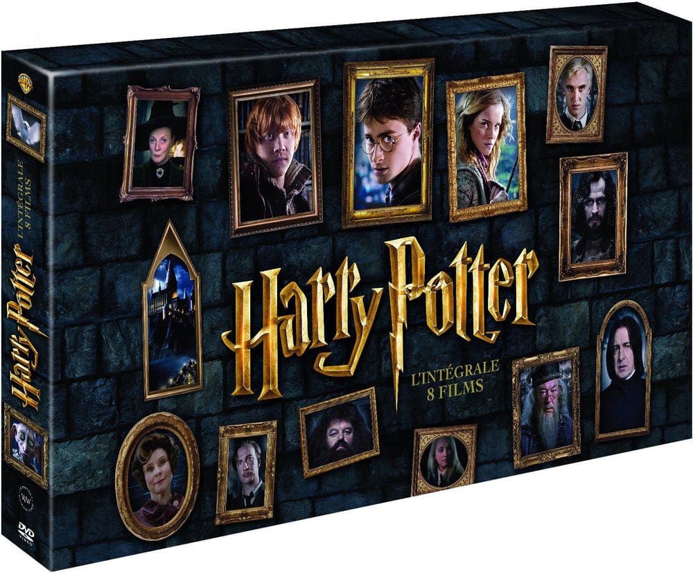 Idée cadeau Harry Potter enfant