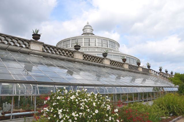 Copenhague jardin botanique