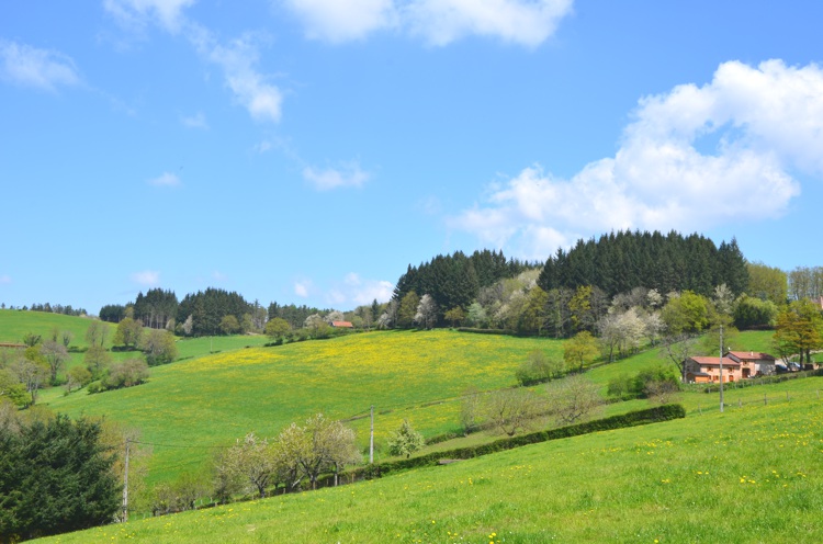 Un dimanche a la campagne