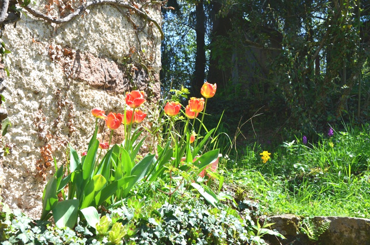 Un dimanche a la campagne