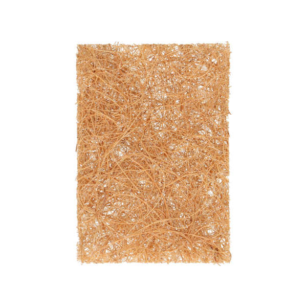 Eponge recurer fibre coco