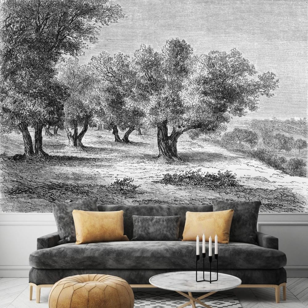 papier peint panoramique gravure les oliviers xcm
