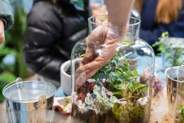 atelier artisan wecandoo terrarium