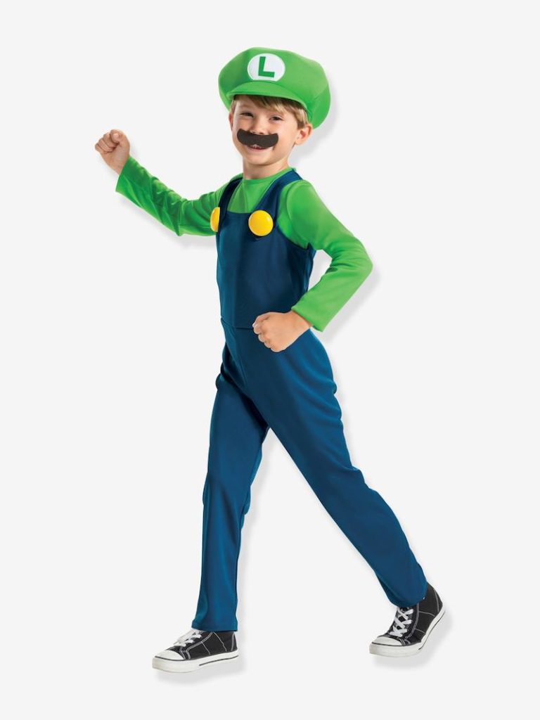 deguisement luigi mario bross